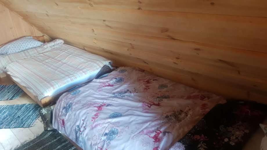 Гостевой дом Oksa Puhkemaja Выру Экстерьер фото